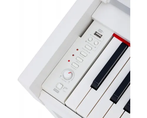 Цифровое пианино Rockdale Virtuoso 256 W