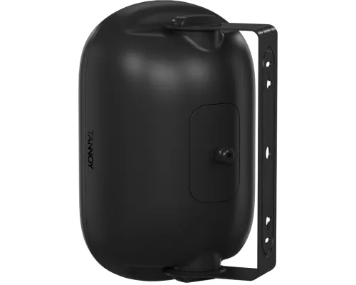 Настенный громкоговоритель Tannoy DVS 401 Настенный громкоговоритель Tannoy DVS 401