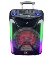 Портативная акустическая система HL-Audio CKA-15