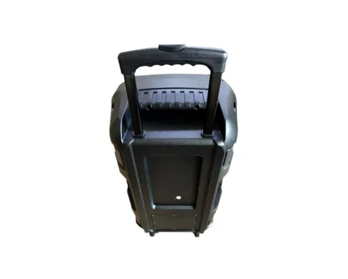 Портативная акустическая система HL-Audio CKA-15