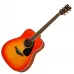 Гитара акустическая Yamaha FG820 AB