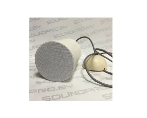 Акустическая система подвесная HL Audio ТП-60