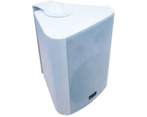 Акустическая система настенная HL Audio TH-50W